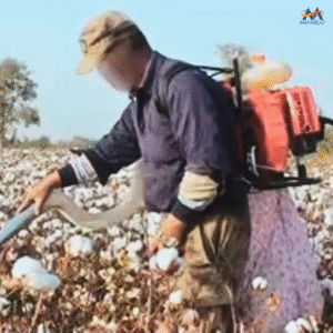 Colhedora de Algodão a Combustão CAC-52